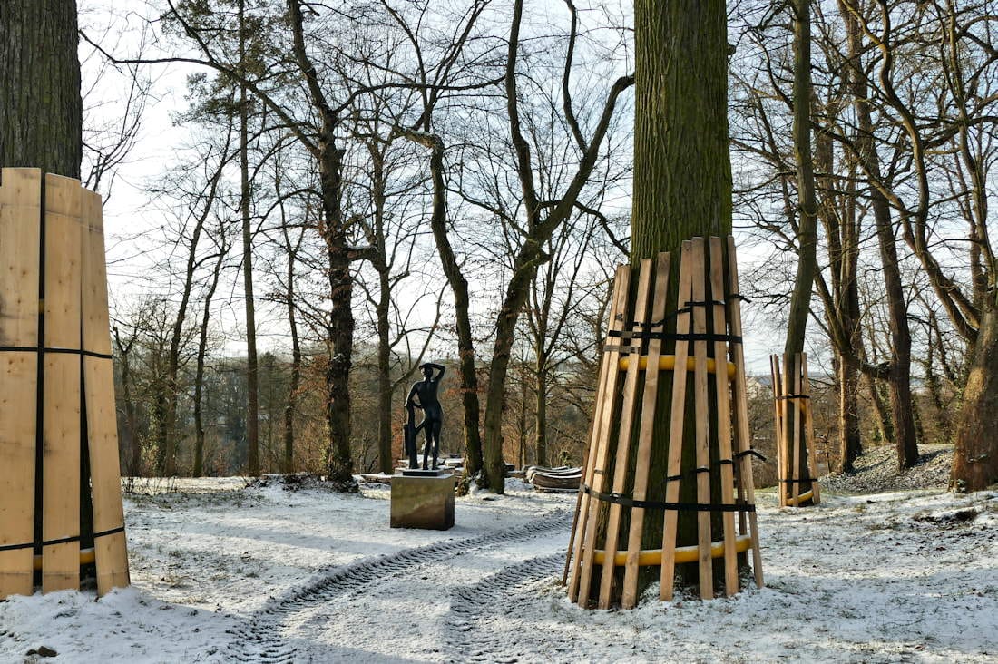 Du betrachtest gerade Schlosspark Wolkenburg im Januar